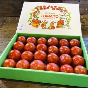 薄皮で甘さあふれる（華おとめ）中玉トマト2箱セット