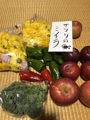 みんなの投稿の画像