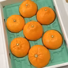 【二級品／化粧箱】『柑橘の大トロ』ハウスせとか大玉7玉入（約2.5kg）