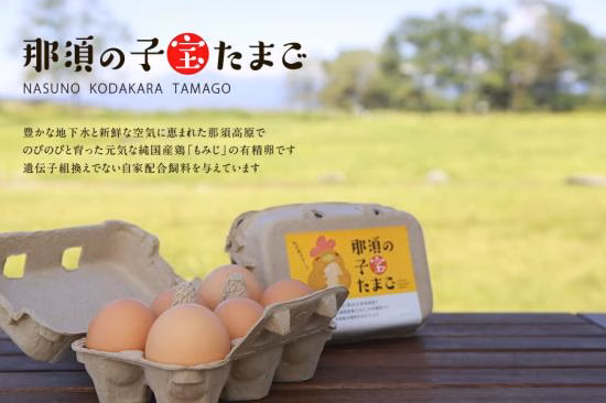 那須の子宝たまご（10個入り2パック）
