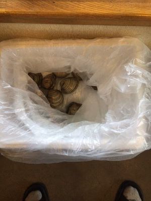 みんなの投稿の画像