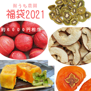 【福袋】6000円相当！あんぽ柿＆ドライフルーツ(堀うち農園)