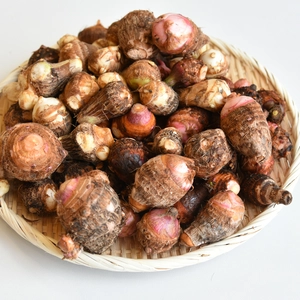 和らぎ農法　里芋食べ比べ便（約2.5kg）