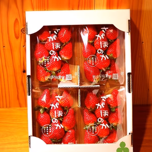 収穫期間化学農薬不使用  あふれる香りの「さがほのか」