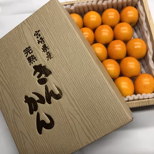 【宮崎ブランド金柑】3Lサイズ500g