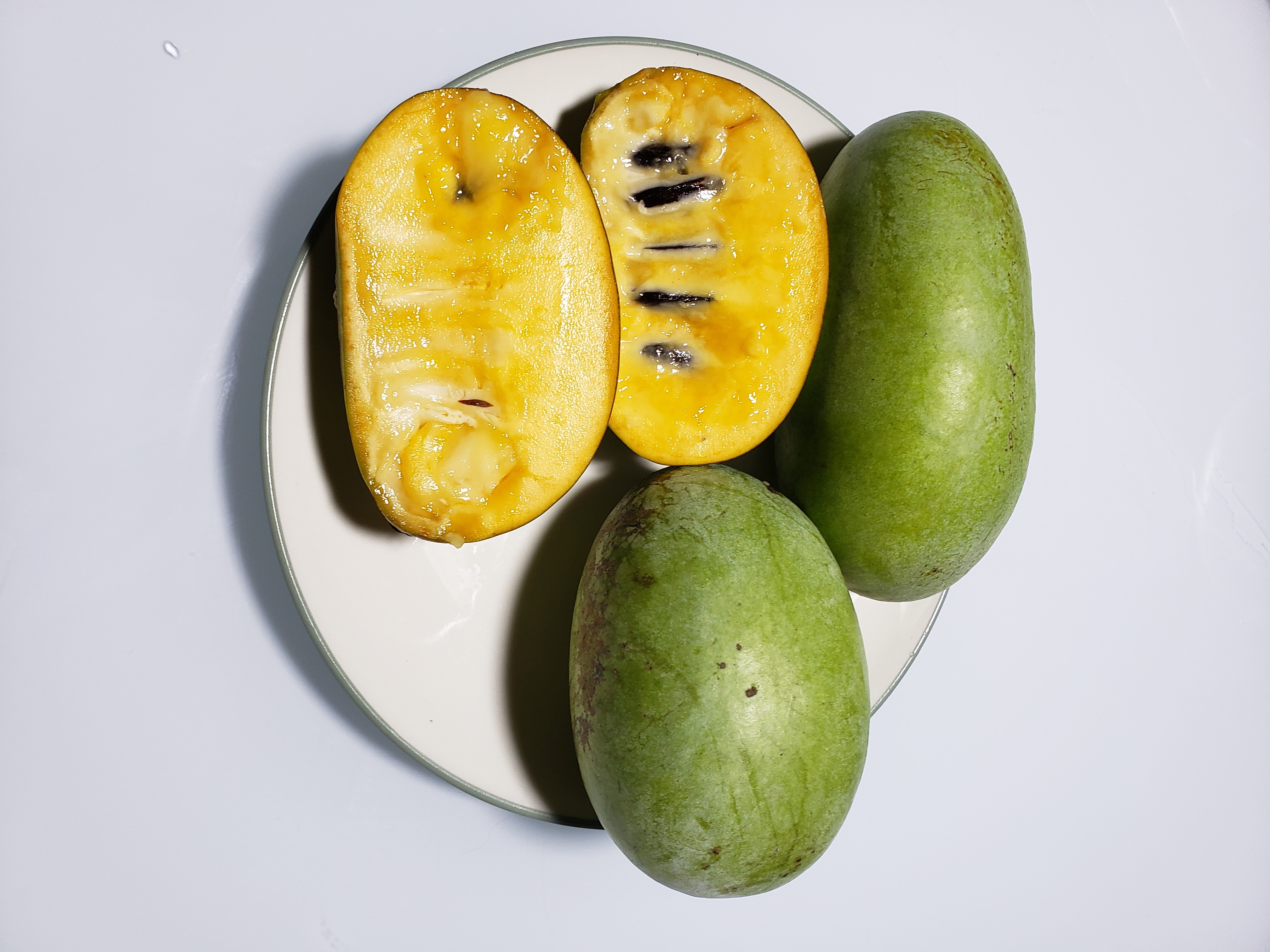 幻の果物「ポポー」種が少なく実が大きい。｜果物の商品詳細
