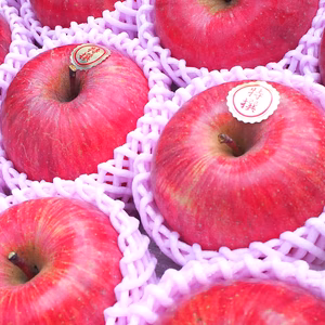 りんご サンふじ 2kg/3kg ギフト さんふじ 蜜入りも 減農薬 さんふじ