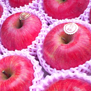りんご サンふじ 2kg/3kg ギフト さんふじ 蜜入りも 減農薬 さんふじ