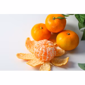 有田みかん 秀品 お歳暮 早生 減農薬 産地直送 濃厚 高糖度