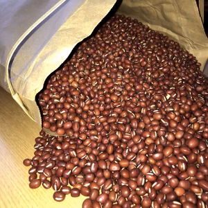 新豆　北海道石狩産大納言小豆