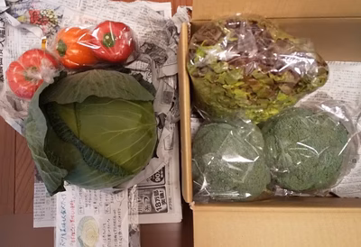 みんなの投稿の画像