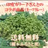 【印度カリー子さんとのコラボ商品】青山椒×キーマカレー10種のスパイスセット