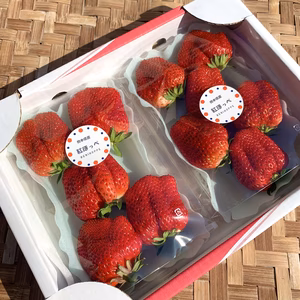 【特大いちご・超期間限定】糖蜜使用のこだわりいちご！紅ほっぺ【4パック】