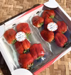 【特大いちご・超期間限定】糖蜜使用のこだわりいちご！紅ほっぺ【4パック】