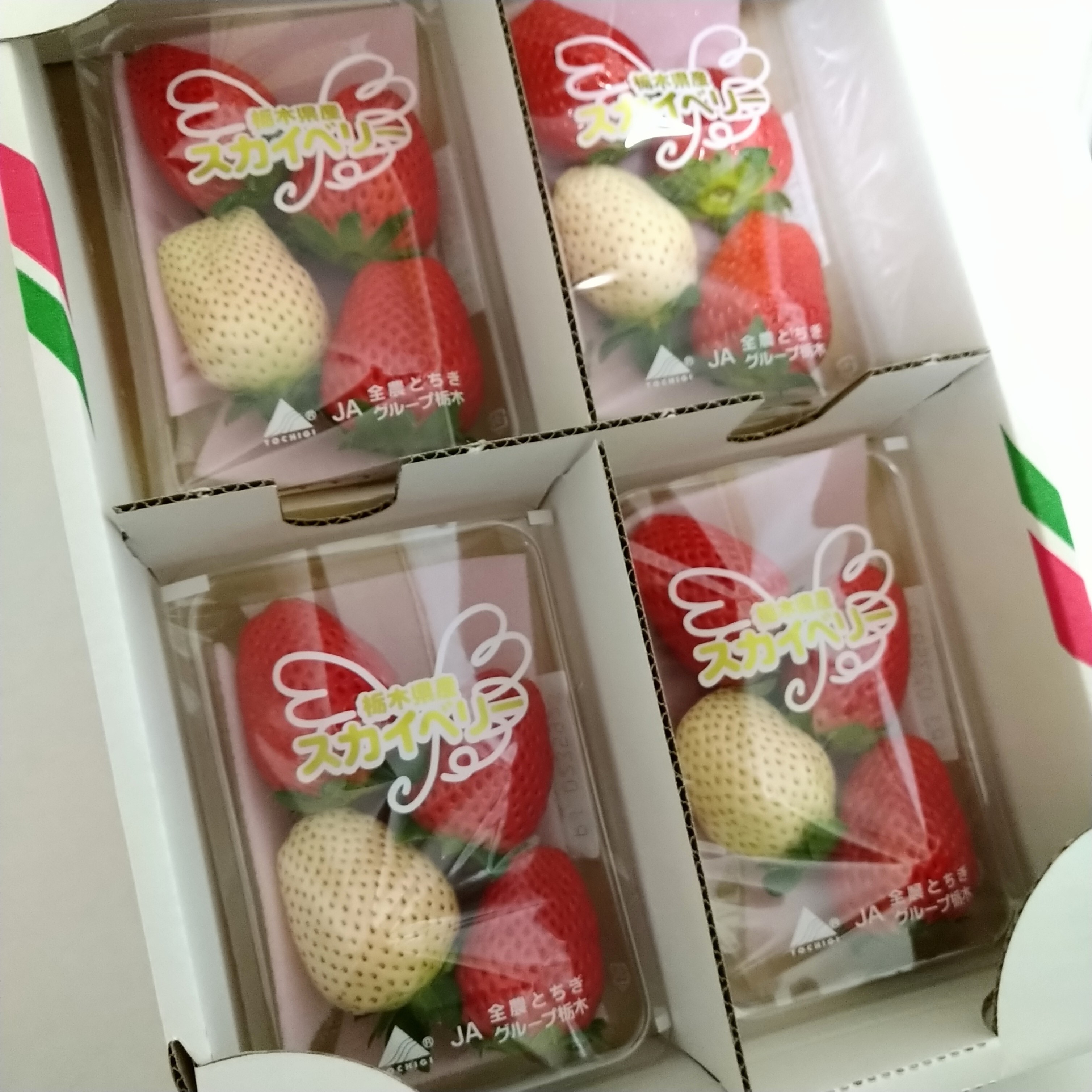 すぐ発送！単発SALE【紅白いちご】食べやすいサイズのスカイ