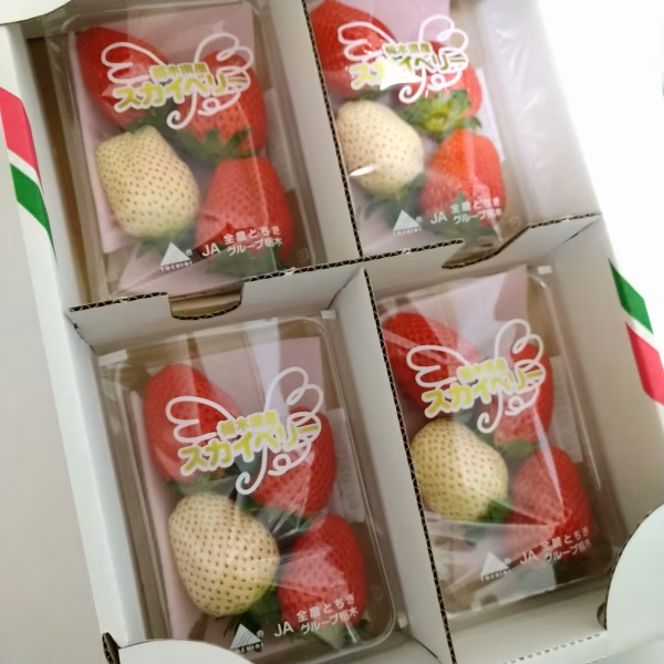 すぐ発送！単発SALE【紅白いちご】食べやすいサイズのスカイベリーと白いちご❤️