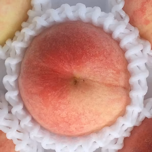 【ギフト用】特大玉白鳳桃(糖度12度)2kg用箱詰め和歌山産