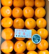 【数量限定】樹上熟成 有田みかん 夕やけみかん（Lサイズ・懐かしの甘さ）
