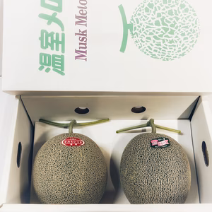 メロン詰め合わせセット！【赤肉、緑肉】2玉入