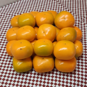 ※　とても小さな「たねなし柿」24個入り　約2.7kg（ ご家庭用）　