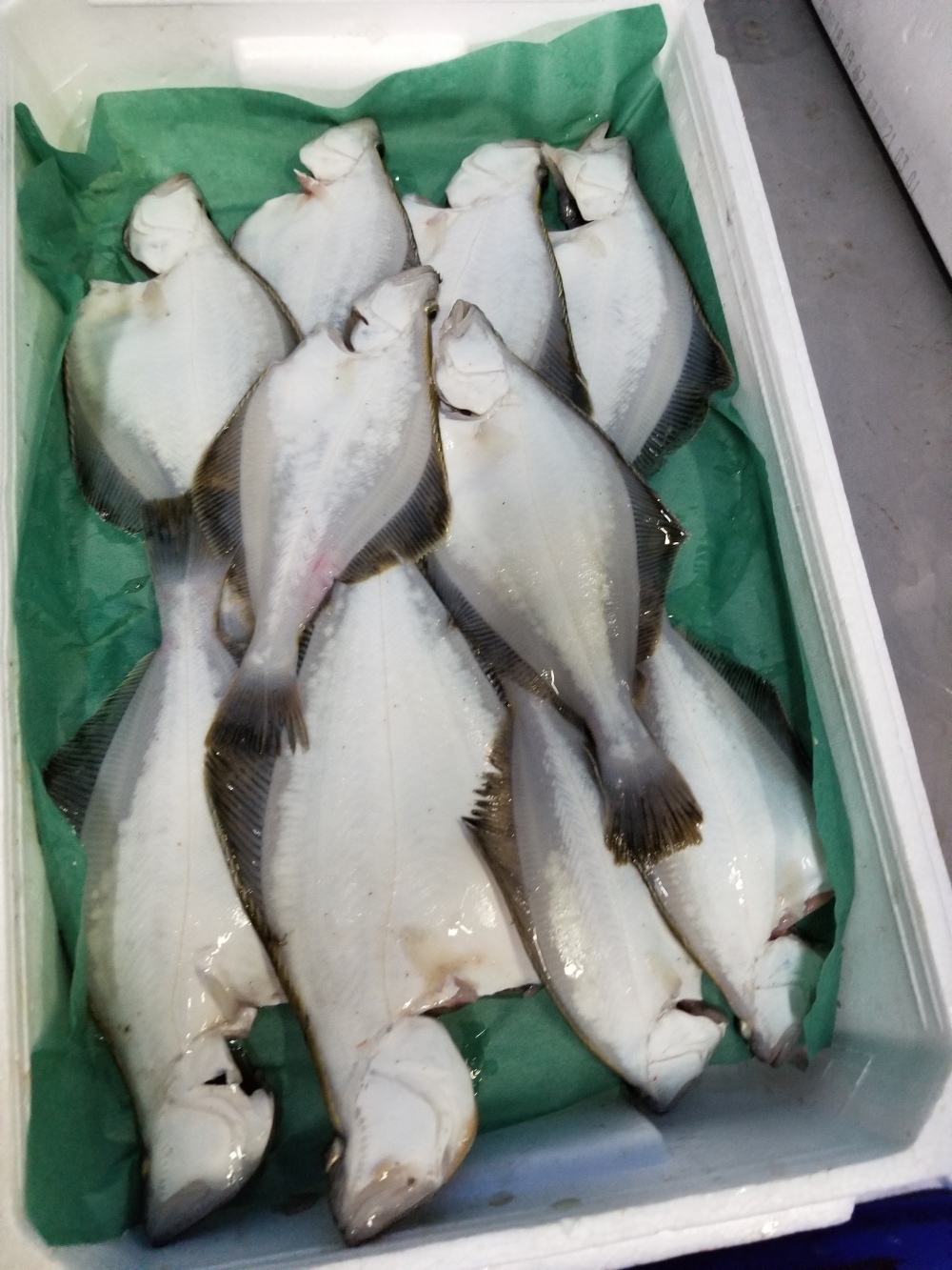 イチマン 宗八カレイ 10枚 農家漁師から産地直送の通販 ポケットマルシェ