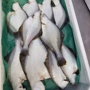 イチマン❗宗八カレイ　10枚