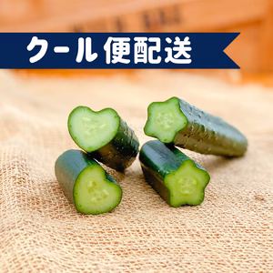 クール便【人気品たっぷりセット】新鮮 デコきゅうり　星型・ハート型