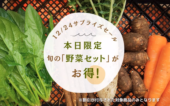 旬のサプライズセール！野菜セット100円オフ