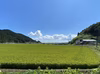 【令和6年産】【石巻産】『あかまのもち米』～みやこがねもち5㎏～