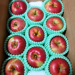 ☆化学農薬不使用☆シナノスイート【B品】