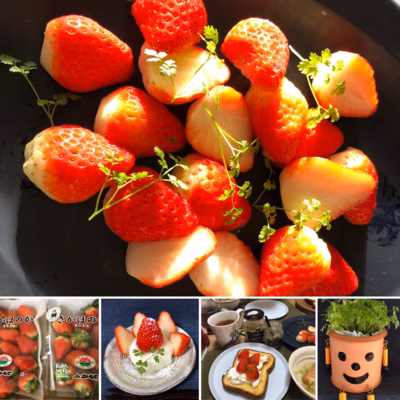 みんなの投稿の画像