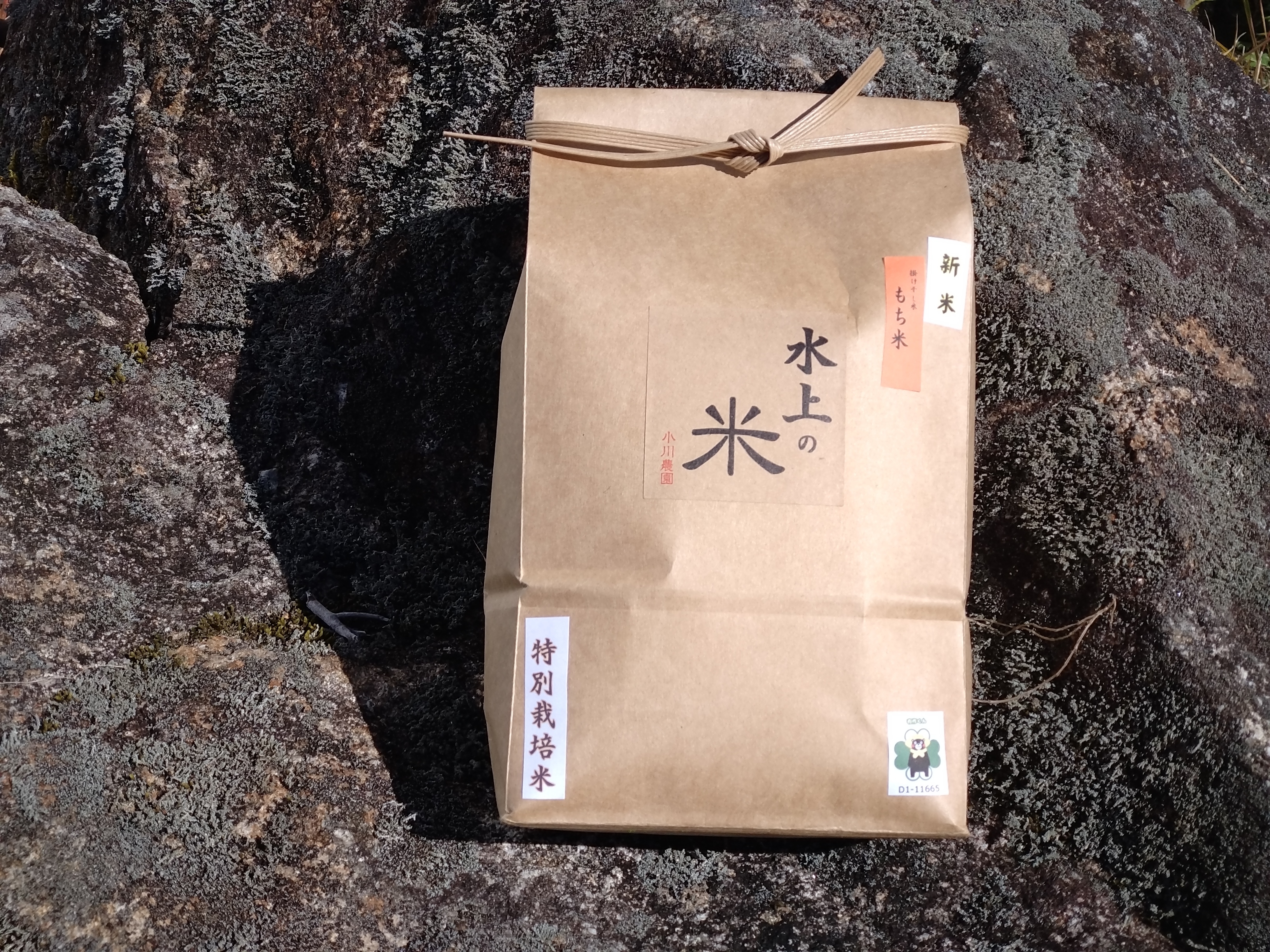 餅・もち米の通販・お取り寄せ商品｜米・穀類｜ポケットマルシェ