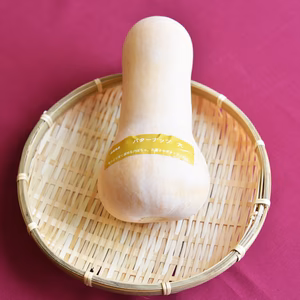 和らぎ農法　かぼちゃ　バターナッツ　大（1個）