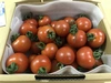 有機トマト【シンディースイート】1.8kg