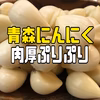 【大セール】青森県産ミネラルむきにんにくたっぷり500g➕おまけ増量