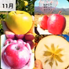 【信州 夢のワクワク便♪】　園主一押し旬の果物BOX♪