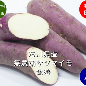 無農薬 サツマイモ 金時 訳あり 1kg、5kg