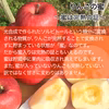 12月発送りんご  訳あり サンふじ 約10kg24-50玉 復興支援 葉とらず
