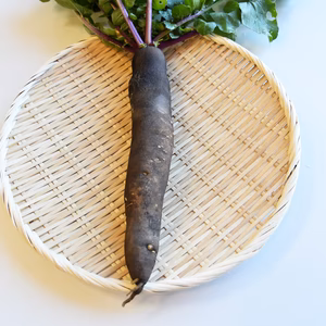 和らぎ農法　黒大根（1～2本）