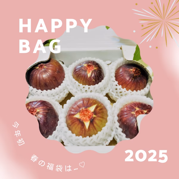 【❀春のHAPPY　BAG❀】フレッシュ無花果付き❀