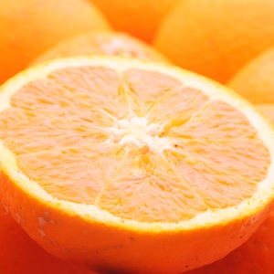 わけあり柑橘セット：清見＆セミノールオレンジ（冷蔵便にてお届け）
