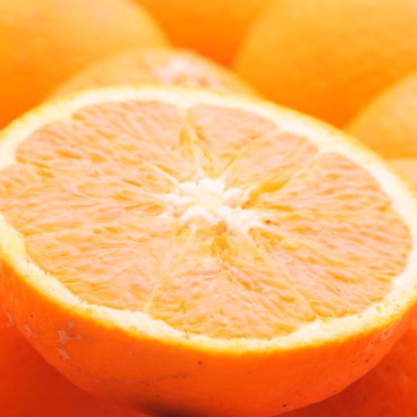 わけあり柑橘セット：清見＆セミノールオレンジ（冷蔵便にてお届け）