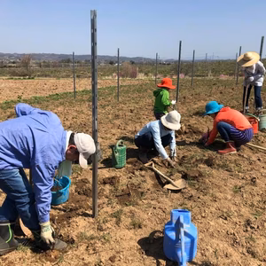 【農業体験】ワイン用ブドウの苗植え（GW特別宿泊プラン・１部屋3名・ペット可）