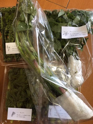 みんなの投稿の画像