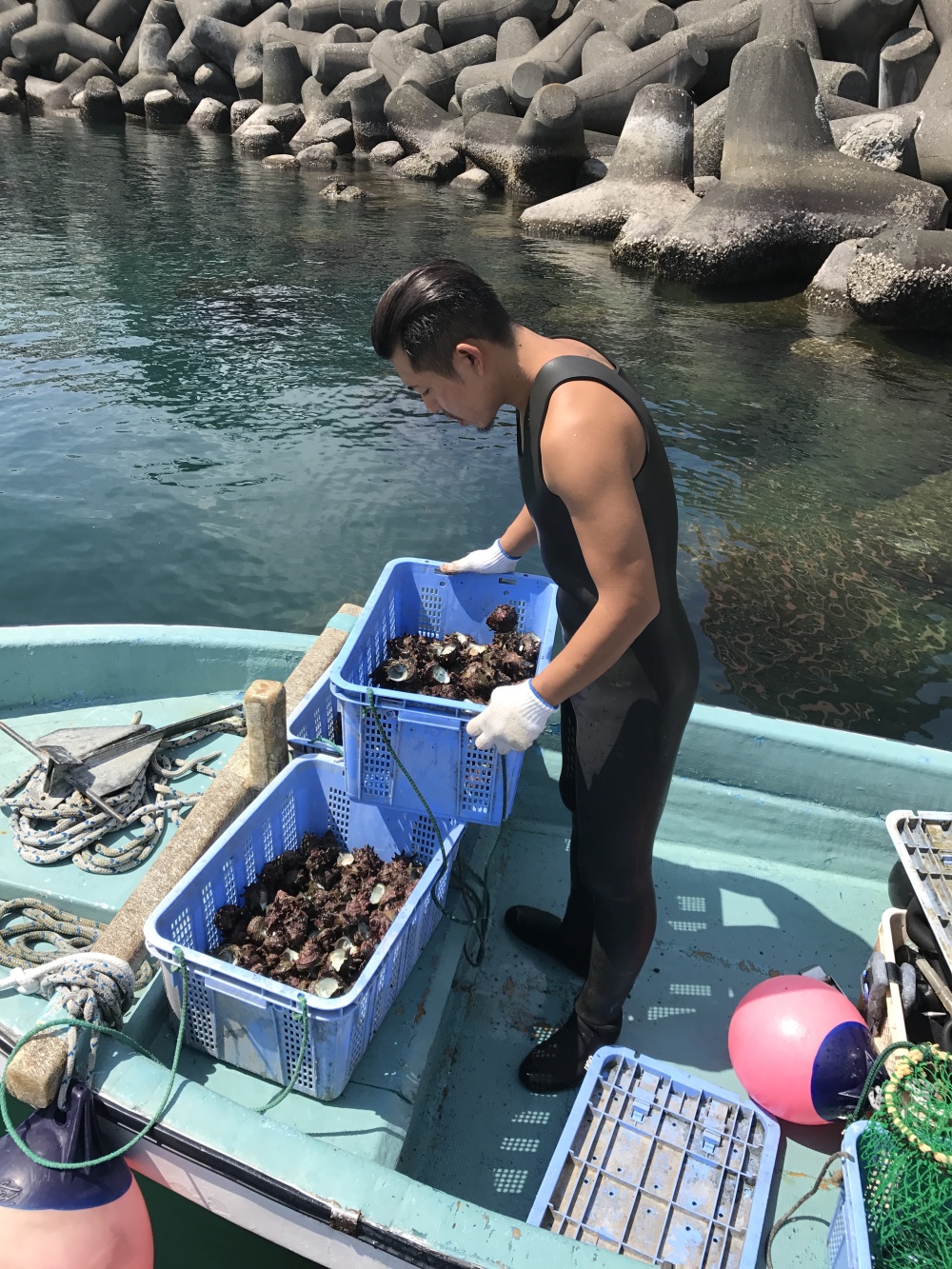 漁師直送 熱海産 天然 サザエ 1キロ詰め合わせ 農家漁師から産地直送の通販 ポケットマルシェ