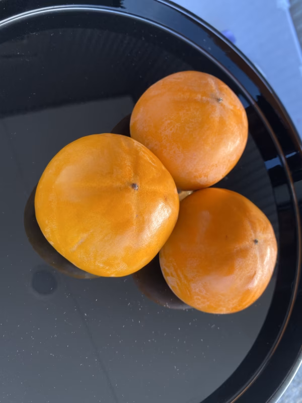 【10月25日(金) 取りに来る出品専用】早生富有柿 ＜3個入売り＞