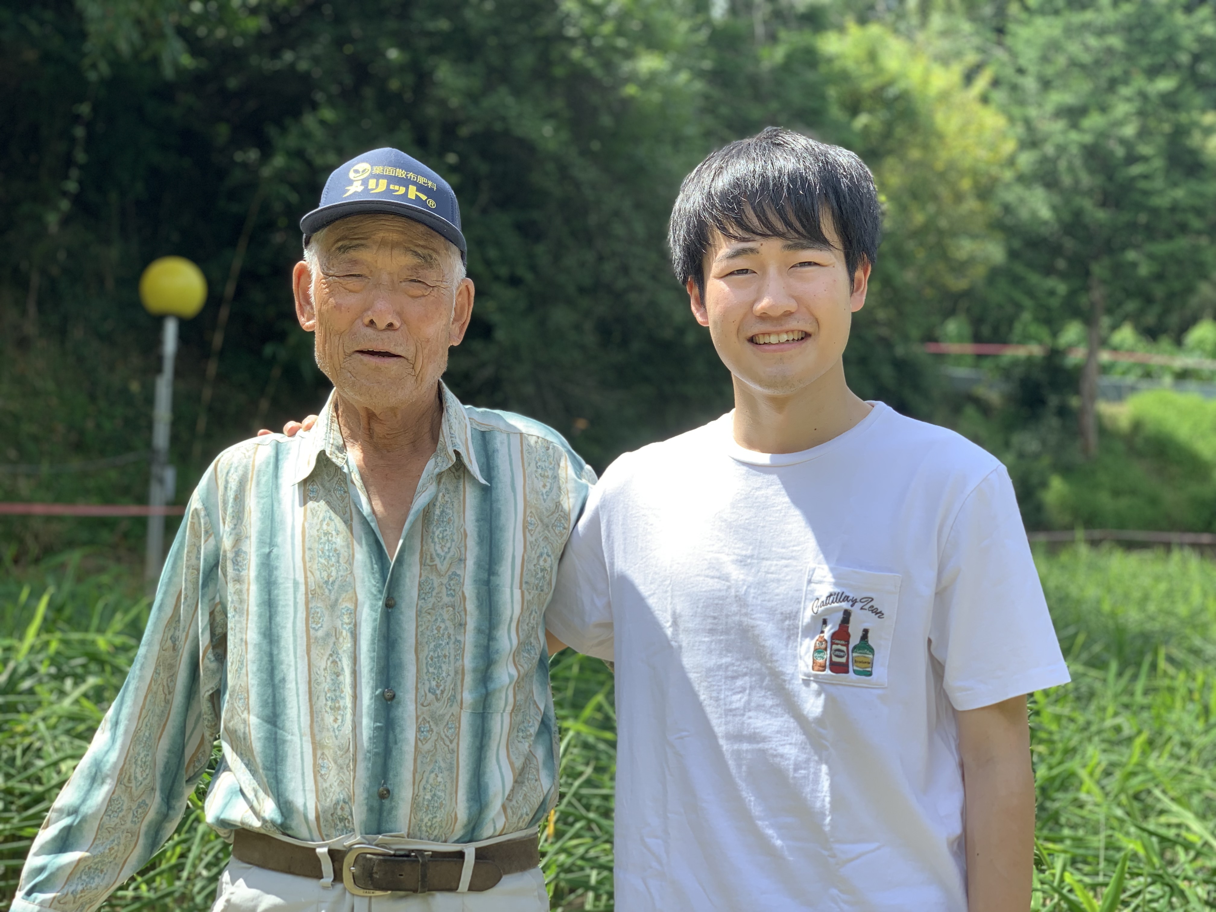 楽天市場】銀杏の通販