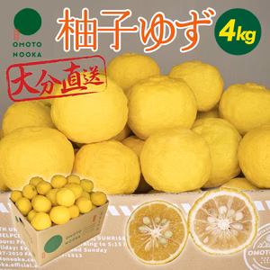 【標準品】大分県宇佐市産　柚子・ユズ（4kg 約30～48個）