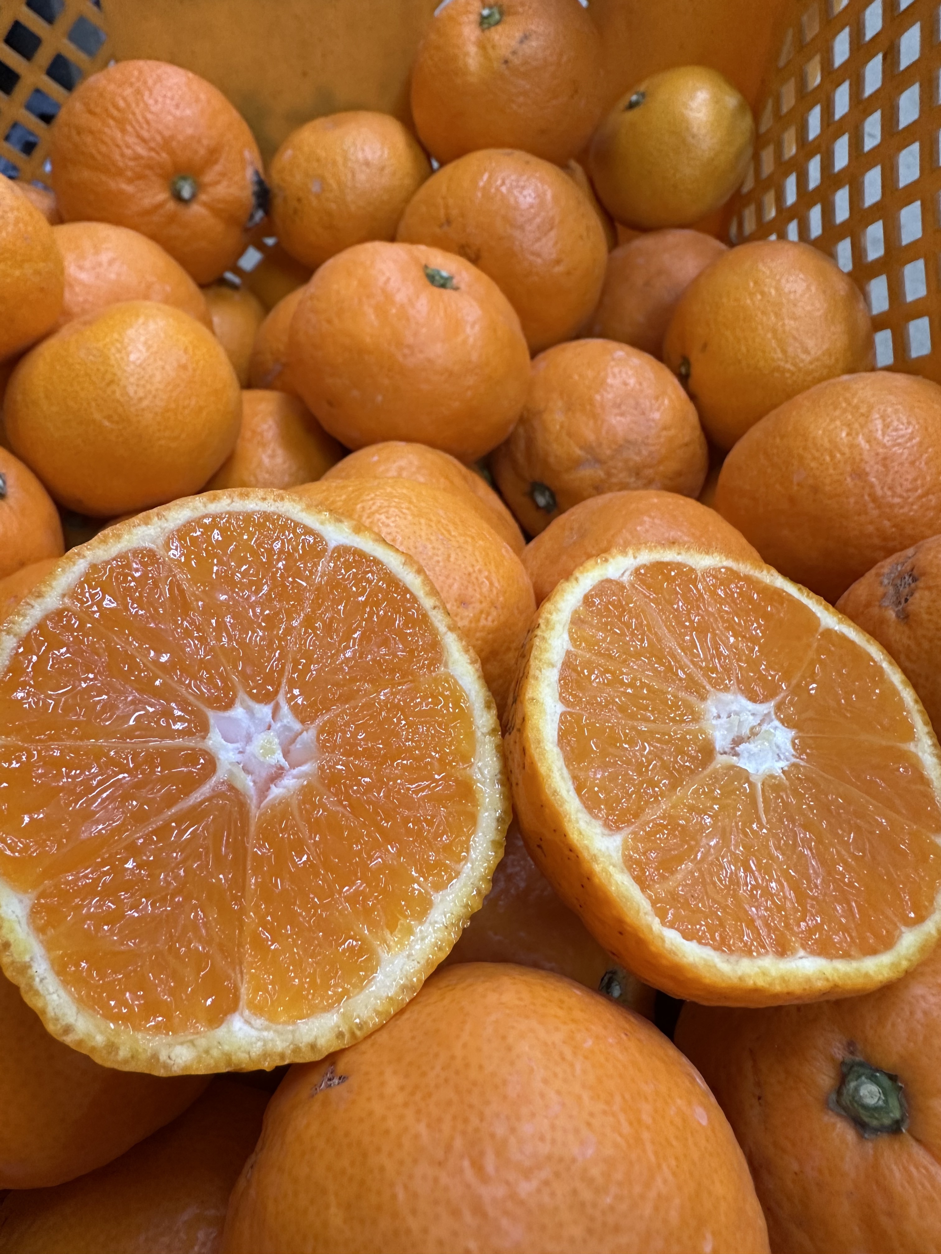 ⭐︎希少⭐︎木村早生⭐︎甘みが強く新食感⭐︎サイズ不揃い 約5kg