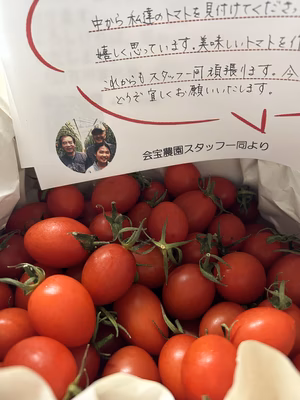 みんなの投稿の画像